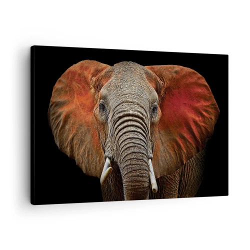Quadro em tela - Retrato de um elefante em um fundo preto - 70x50cm - Eu sou selvagem, e você? - Decoração de parede moderna para a sala de estar e quarto ARTTOR