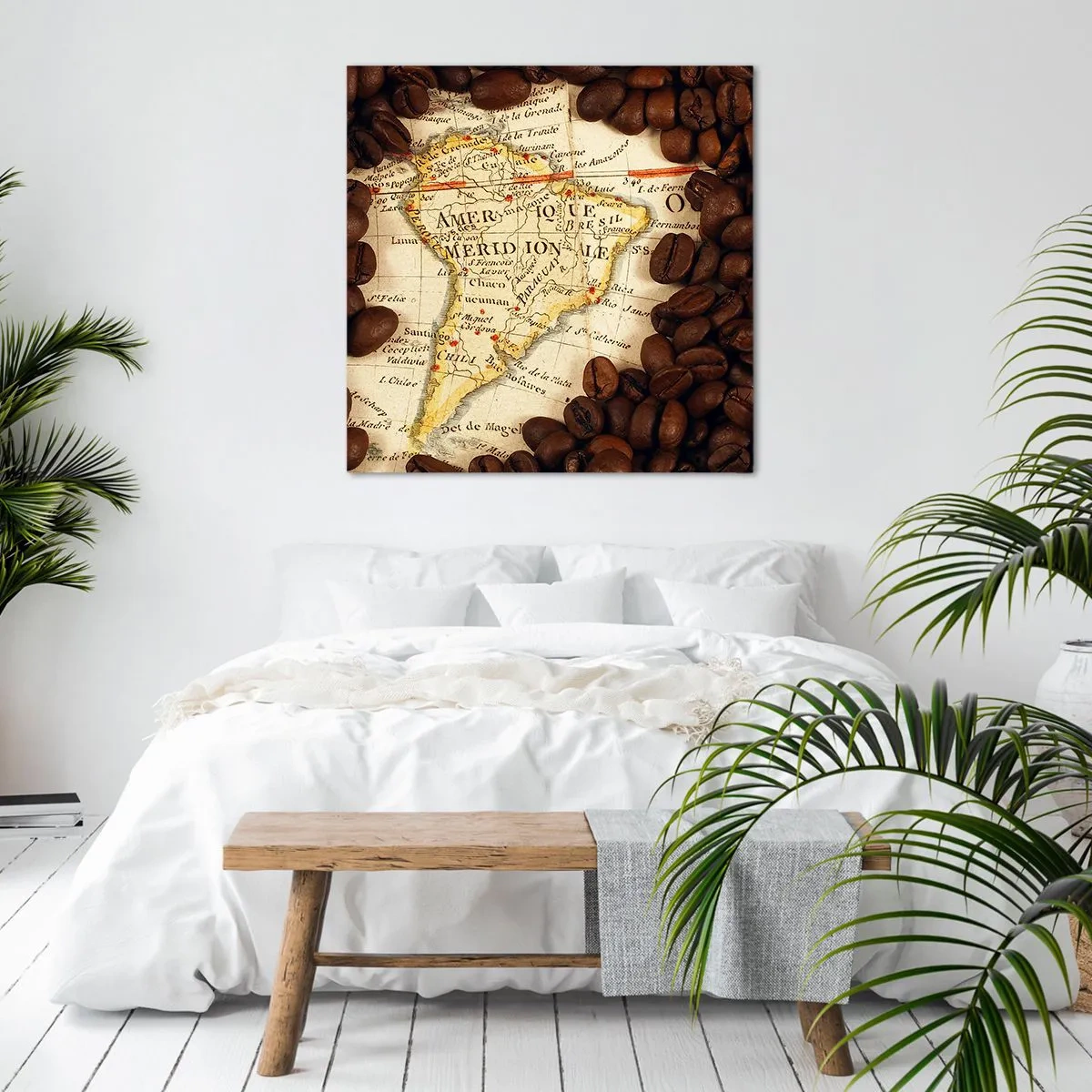 Quadro em tela - De onde vem o melhor café? - 50x50 cm