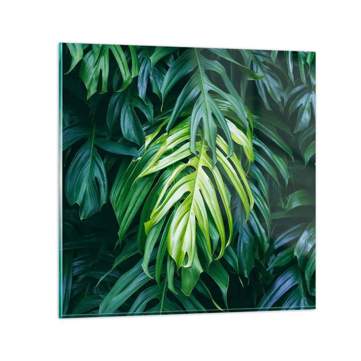 Quadro em vidro - Mergulhar no frescor - 30x30 cm
