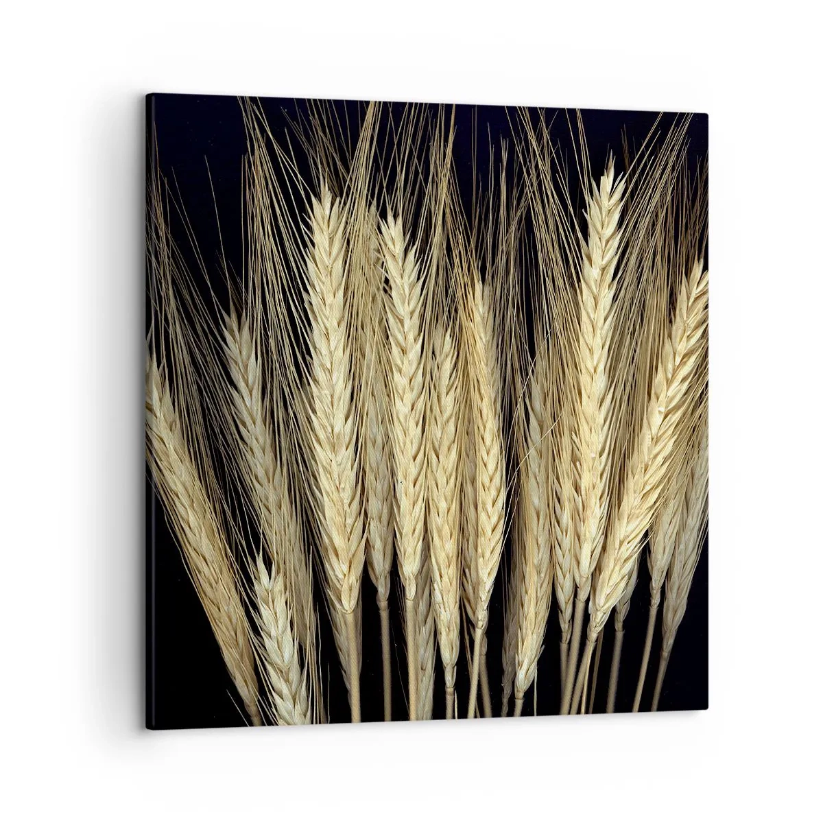 Quadro em tela - Magia rústica - 50x50 cm