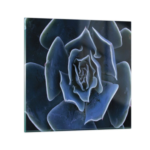 Quadro em vidro - Flor do deserto - 30x30 cm