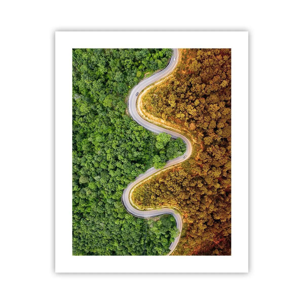 Pôster - Fronteiras e descobertas - 40x50 cm