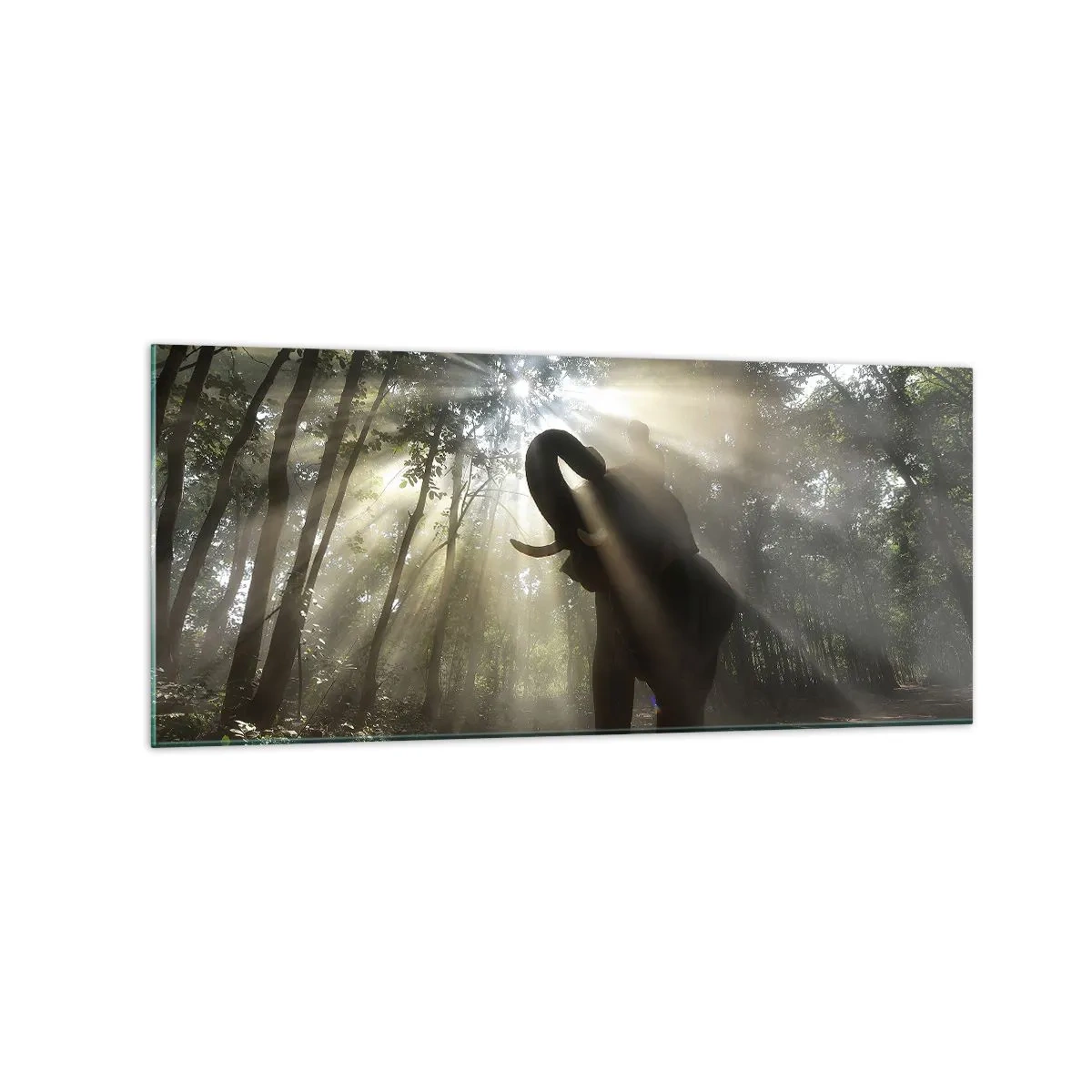 Quadro em vidro - Sob a estrela da sorte - 120x50 cm