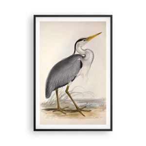 Pôster com moldura preta - Graça de garça - 61x91 cm