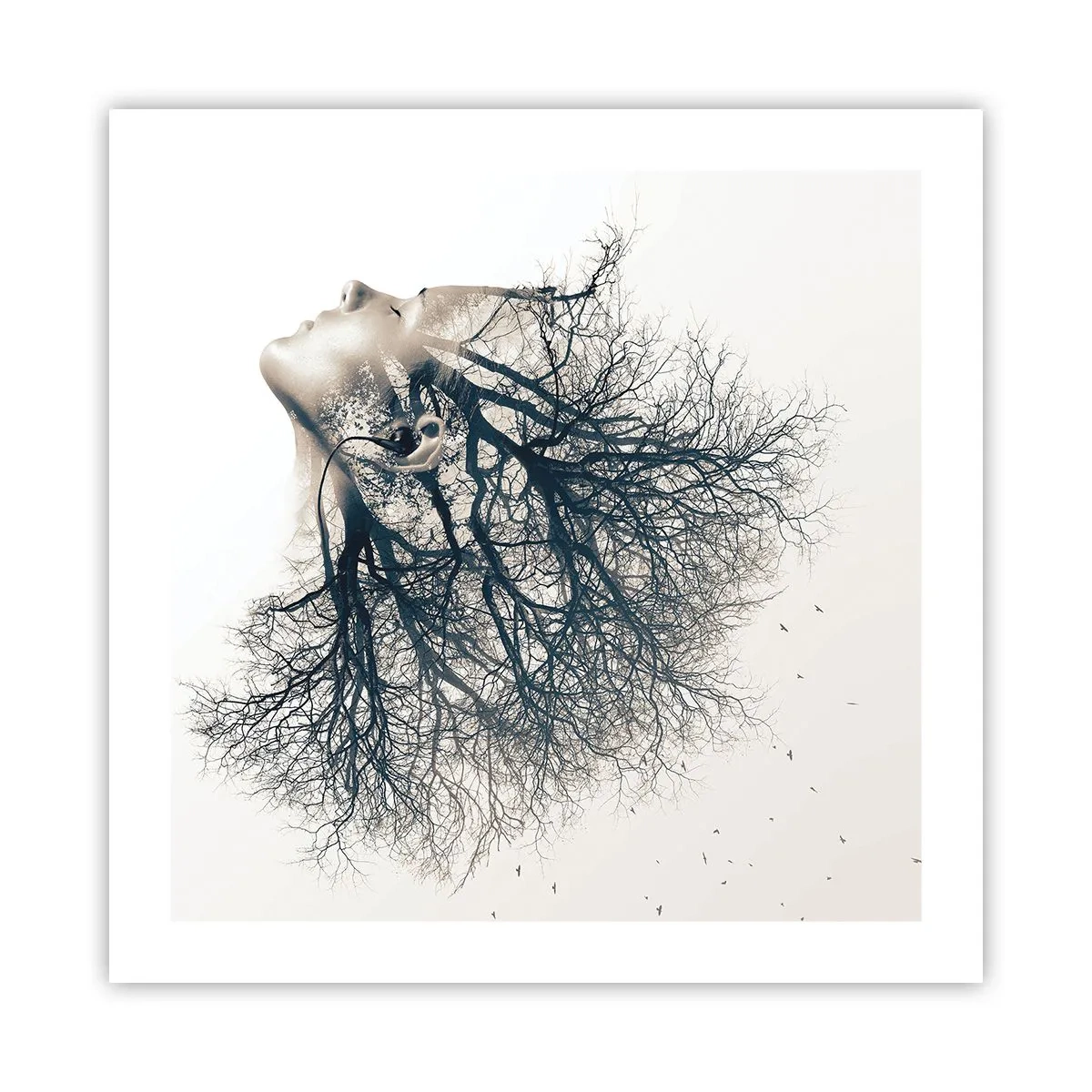 Pôster - Ouvir o sussurro da árvore - 50x50 cm