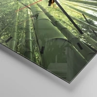 Mostrador com traços