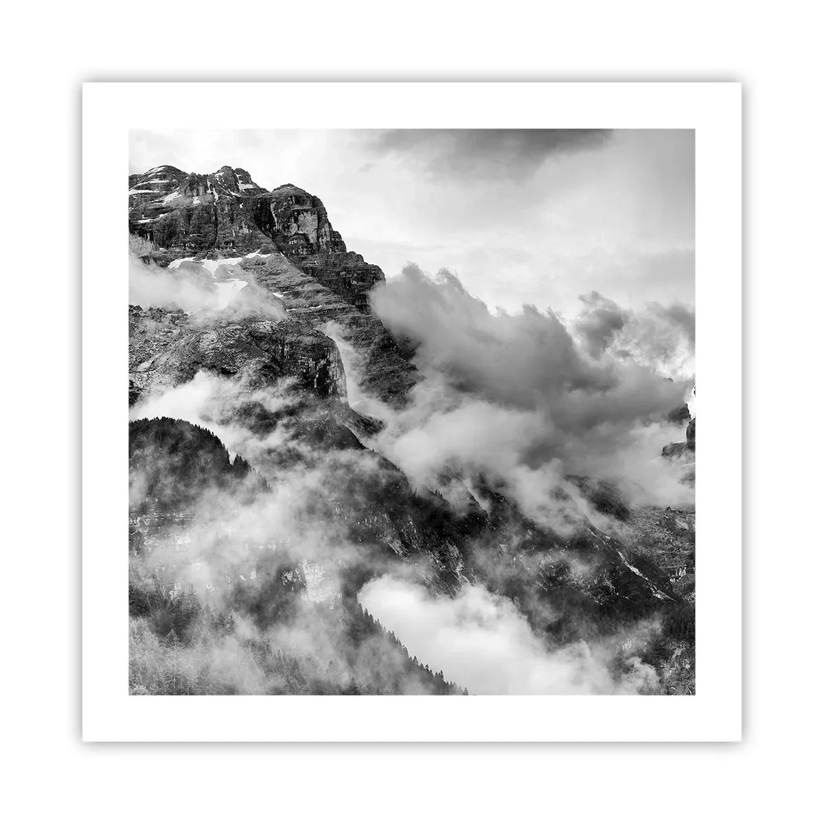 Pôster - Bonitas e cruéis - 50x50 cm