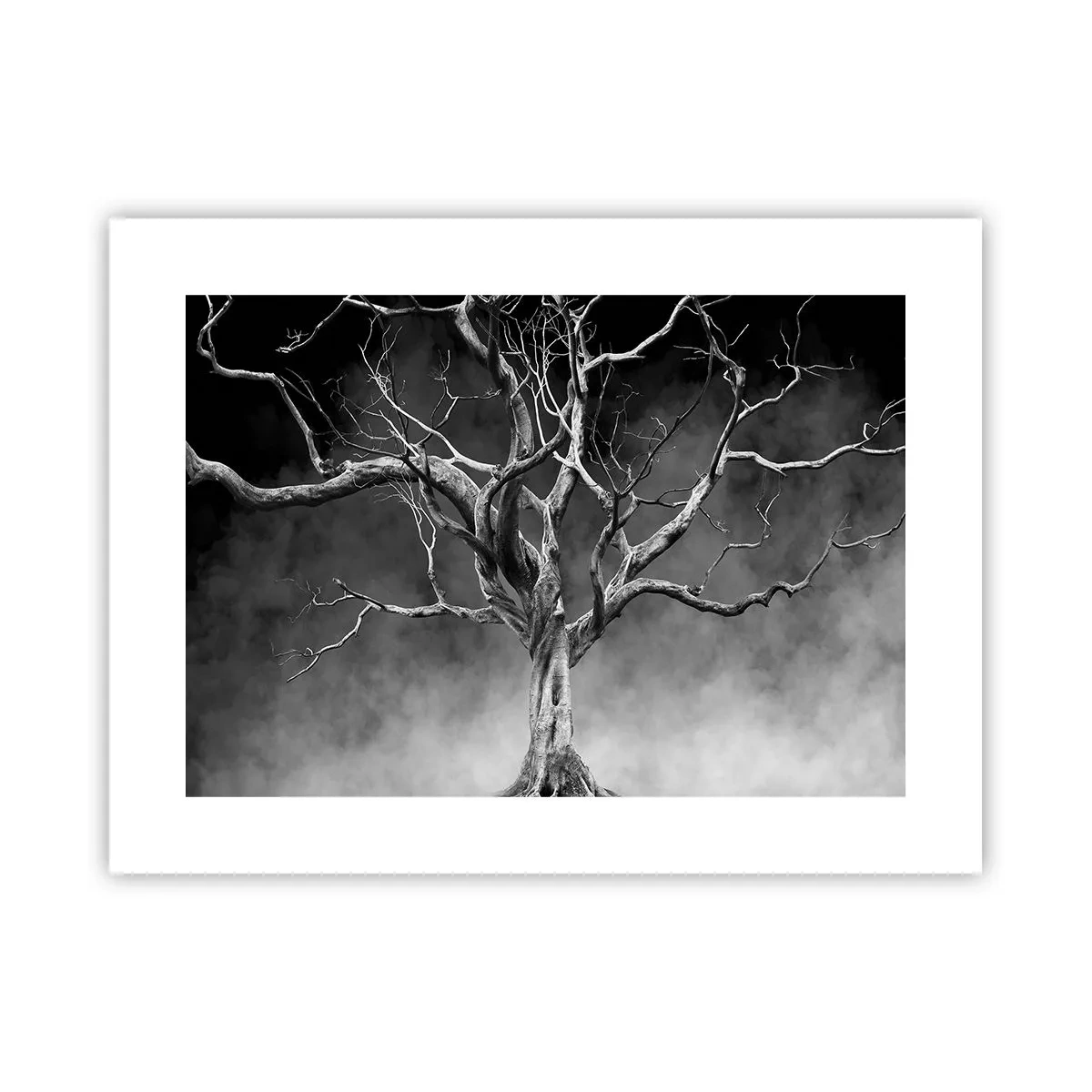 Pôster - Primitivo e sagrado - 40x30 cm