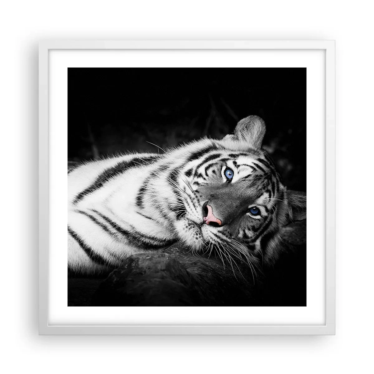 Pôster em moldura branca - Selvagem e tranquilo - 50x50 cm