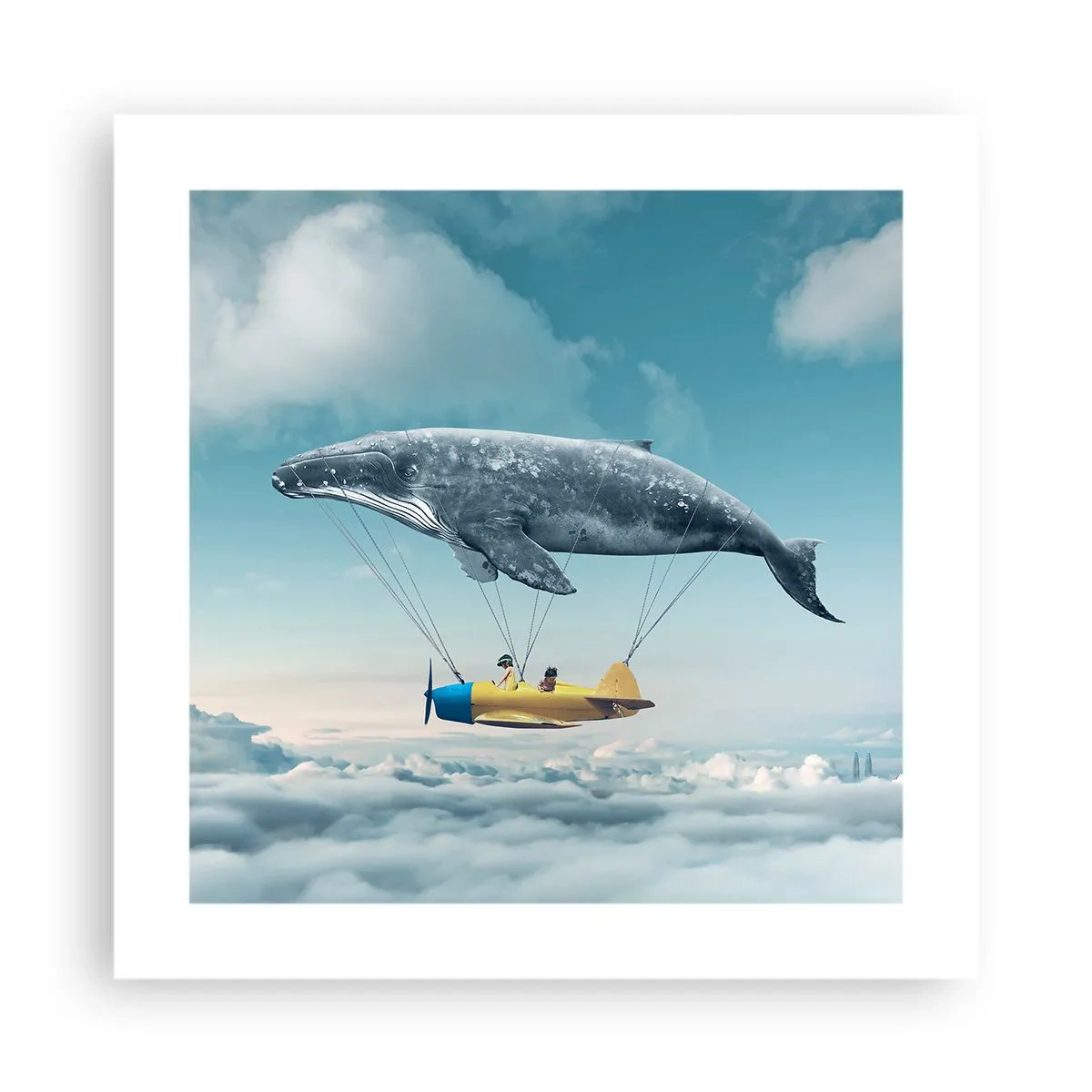 Pôster - Por que não? - 40x40 cm