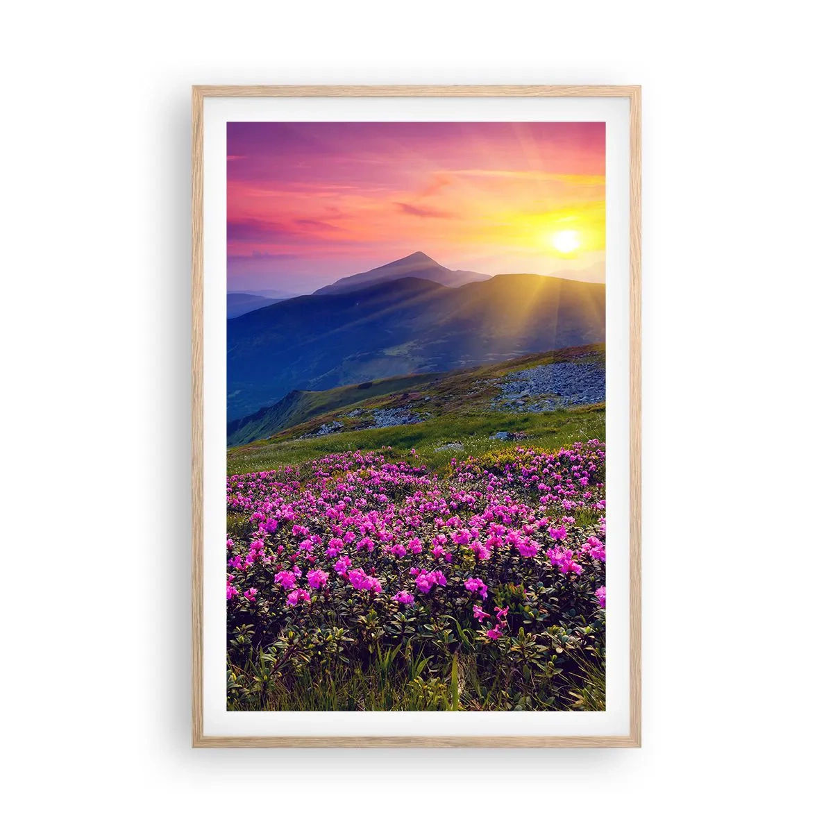 Pôster com moldura de carvalho claro - …Cheiro de pinheiros e ervas da montanha - 61x91 cm