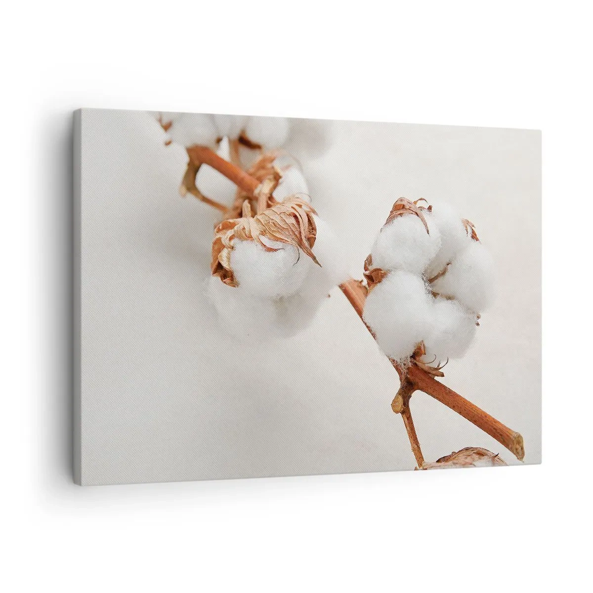 Quadro em tela - Um raminho de algodão em um fundo sutil - 70x50cm - Apenas acaricie - Decoração de parede moderna para a sala de estar e quarto ARTTOR