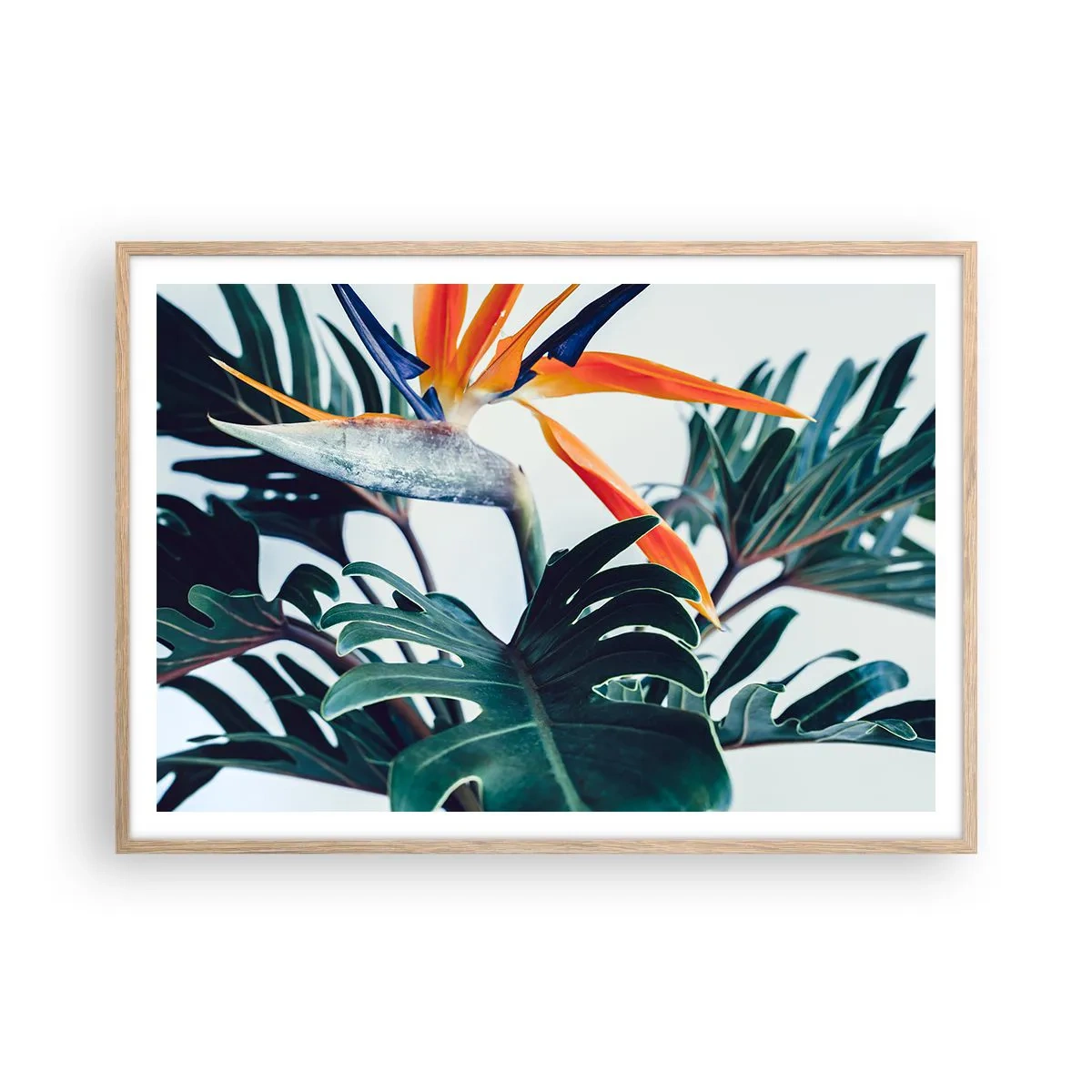 Pôster com moldura de carvalho claro - Arbusto de passarinho - 100x70 cm