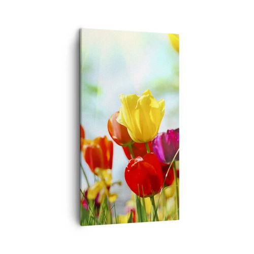 Quadro em tela - Todas as cores do sol - 45x80 cm