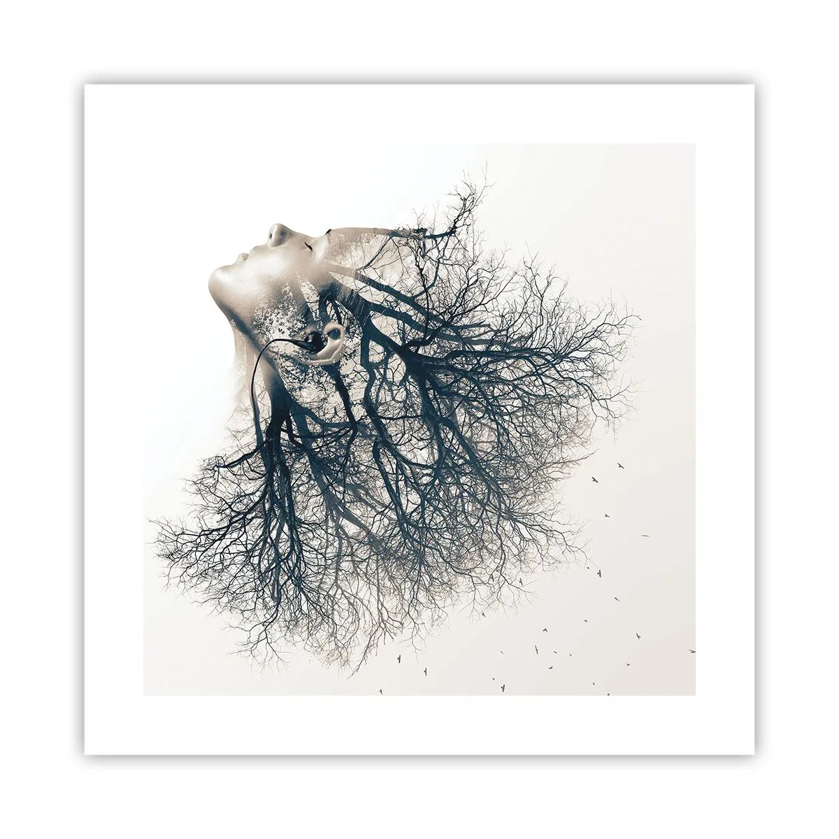 Pôster - Ouvir o sussurro da árvore - 40x40 cm