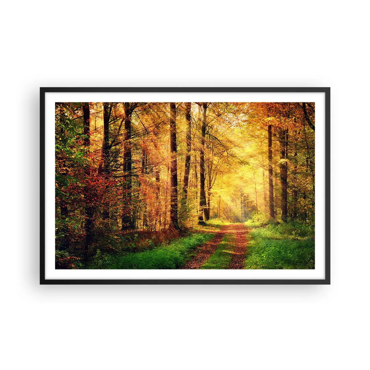 Pôster com moldura preta - Silêncio dourado da floresta - 91x61 cm