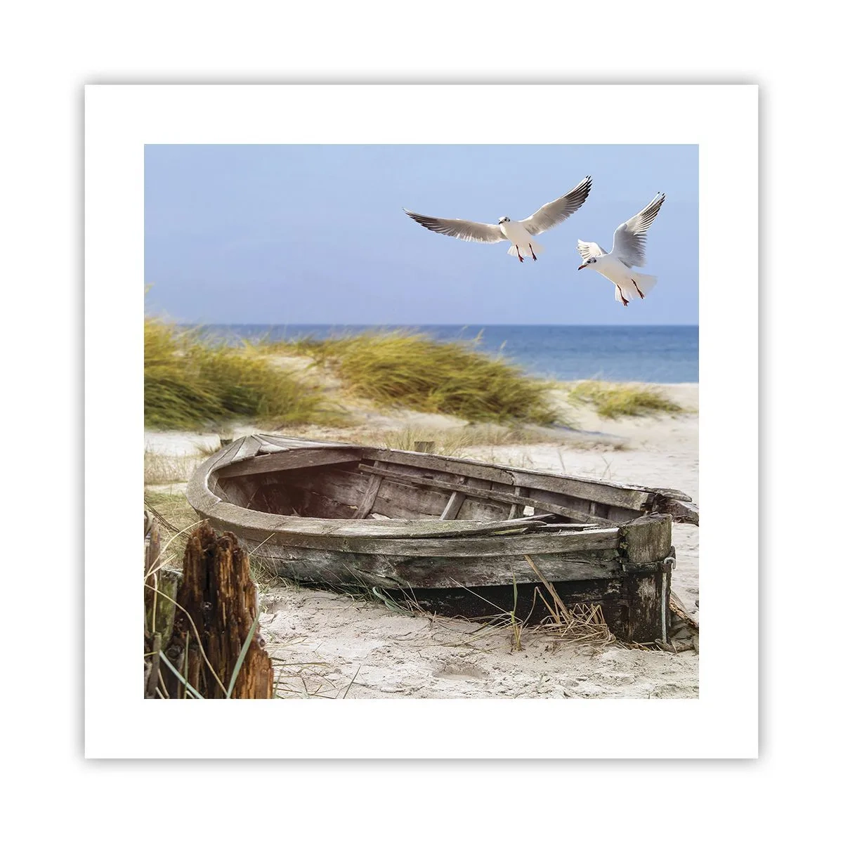 Pôster - Banhado pelo vento - 40x40 cm