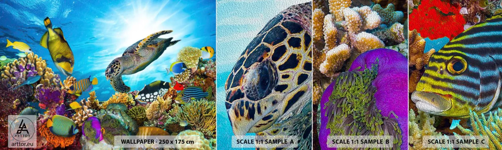 Amostra de papel de parede Premium Sand - Alameda dos corais - Recife de corais, Mar, Mundo subaquático - 100x30 cm