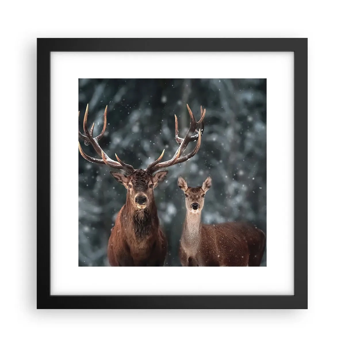 Pôster com moldura preta - O senhor da floresta com sua esposa - 30x30 cm