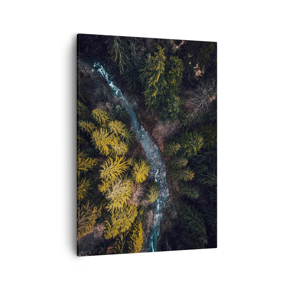 Quadro em tela - Rápido e cada vez mais rápido - 50x70 cm