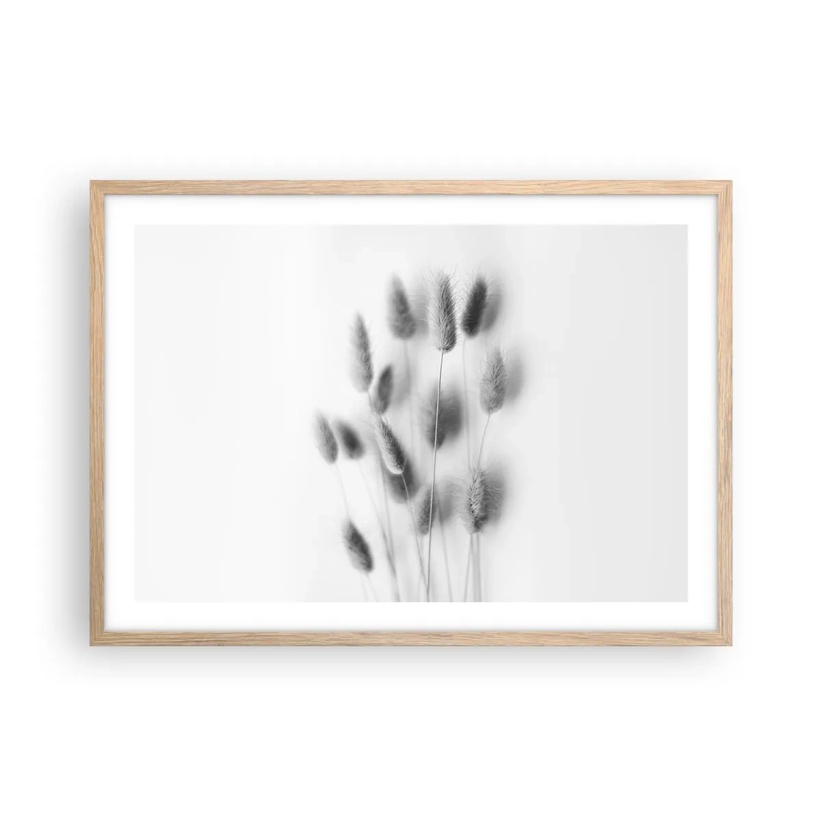 Pôster com moldura de carvalho claro - Grama fofa - 70x50 cm