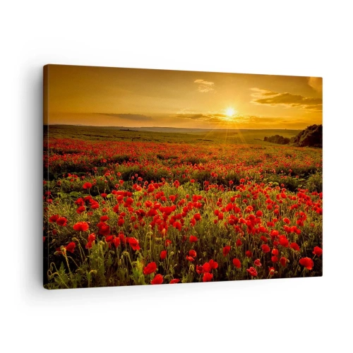 Quadro em tela - Um campo de papoulas vermelhas sob o brilho do pôr do sol - 70x50cm - Entre o farfalhar da onda de prados, entre o dilúvio das flores - Decoração de parede moderna para a sala de estar e quarto ARTTOR