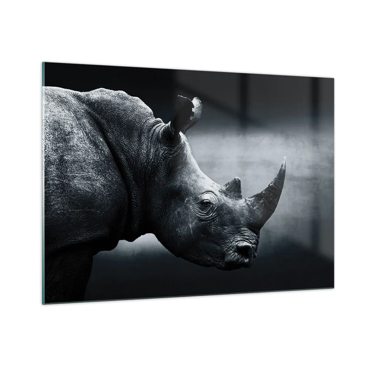 Quadro em vidro - Perfil direito - 100x70 cm