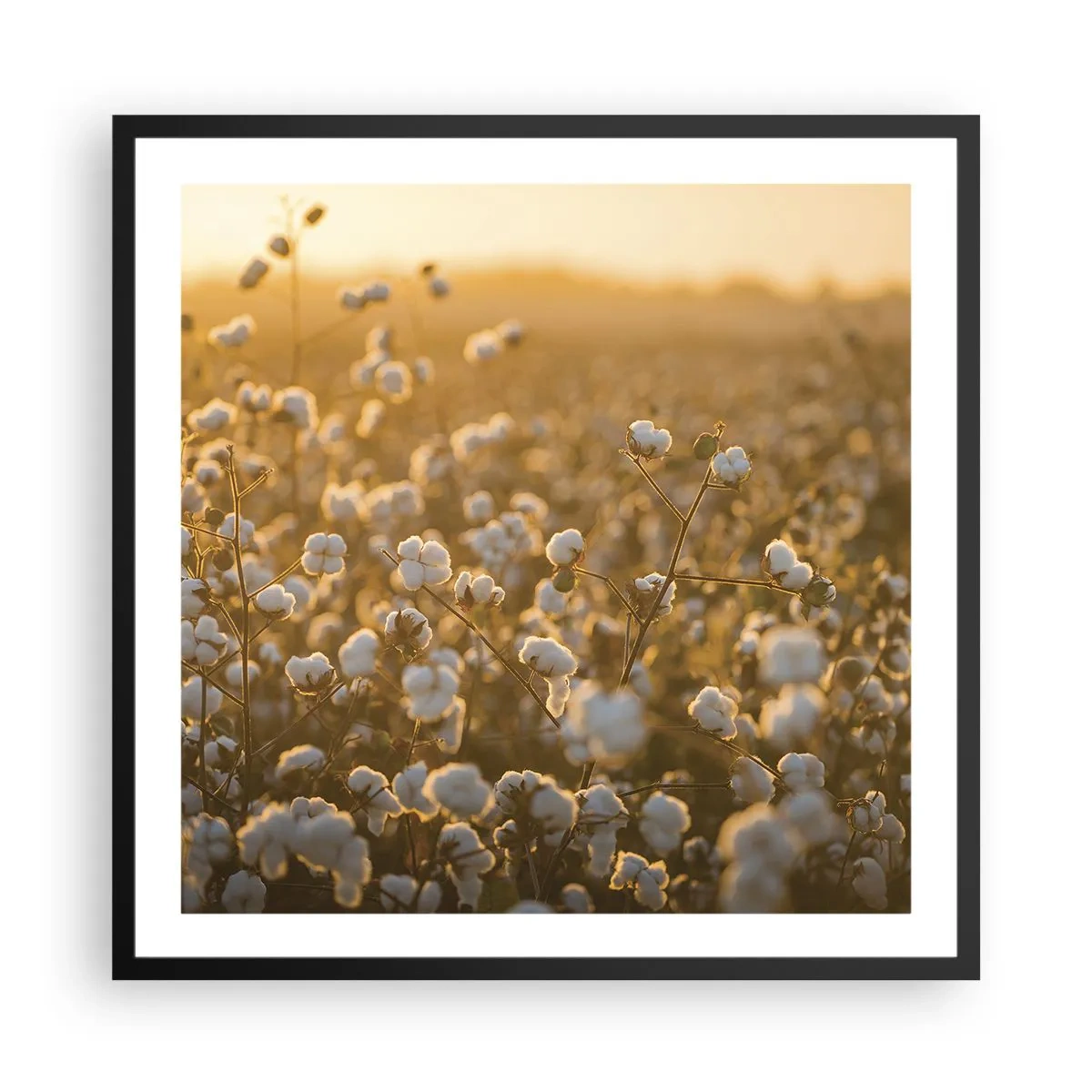 Pôster com moldura preta - Campo macio - 60x60 cm