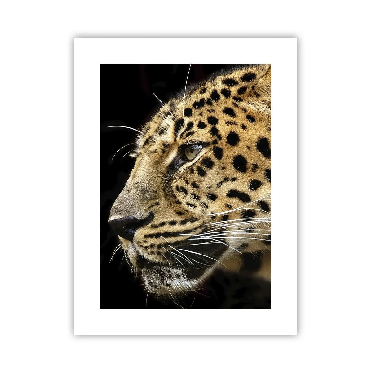 Pôster - Calmo, focado, pronto - 30x40 cm