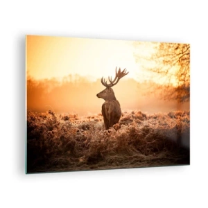 Quadro em vidro - Veado tendo como pano de fundo o nascer do sol em uma paisagem natural - 70x50cm - O senhor da propriedade - Decoração de parede moderna para a sala de estar e quarto ARTTOR