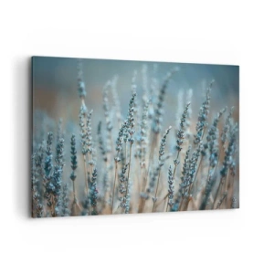 Quadro em tela - Prado perfumado - 100x70 cm