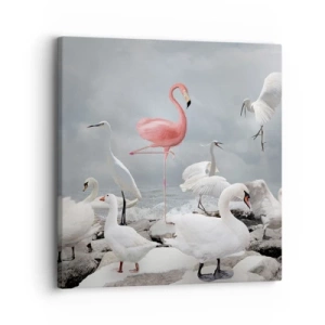 Quadro em tela - Como vim parar aqui? - 30x30 cm