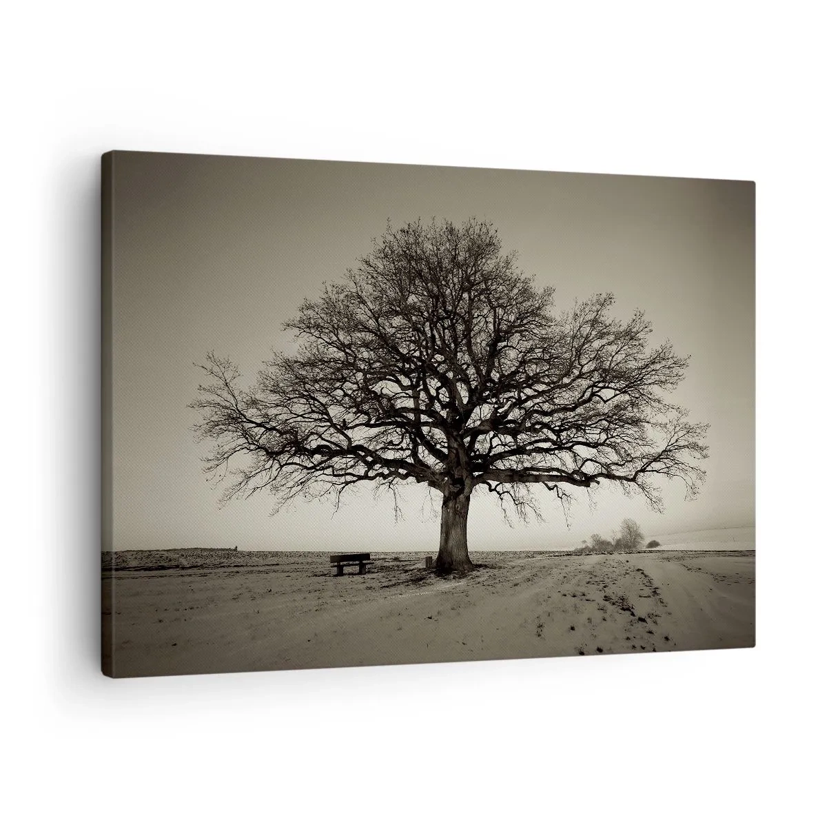 Quadro em tela - Uma árvore solitária em um campo sépia - 70x50cm - Daqui para a eternidade - Decoração de parede moderna para a sala de estar e quarto ARTTOR