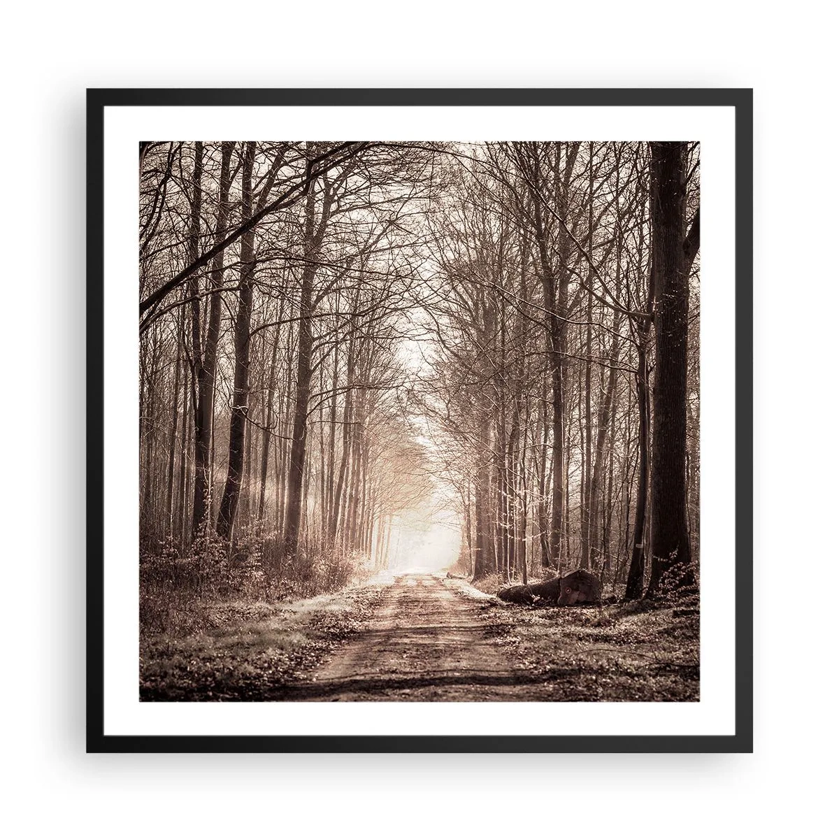 Pôster com moldura preta - Catedral na Floresta - 60x60 cm