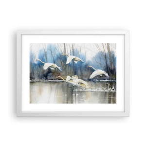 Pôster em moldura branca - Como no conto de fadas sobre cisnes selvagens - 40x30 cm