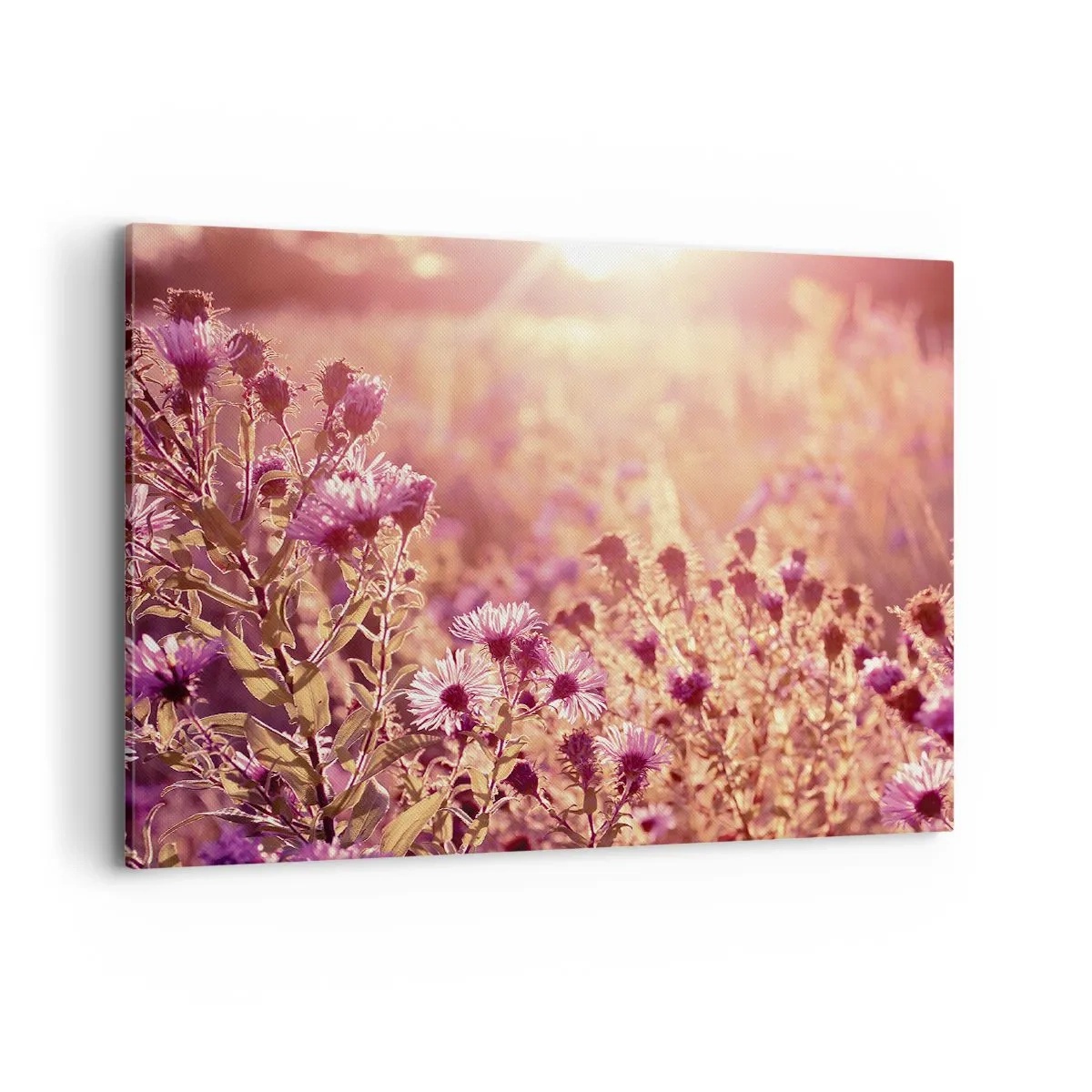 Quadro em tela - Antes do verão acabar - 100x70 cm