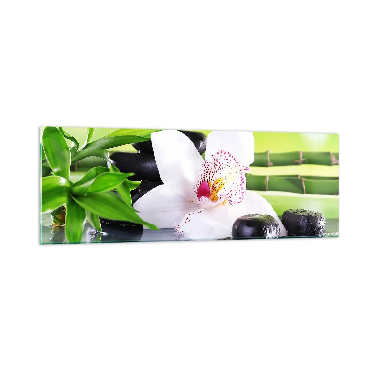 Quadro em vidro - Frescor e vigor - 90x30 cm