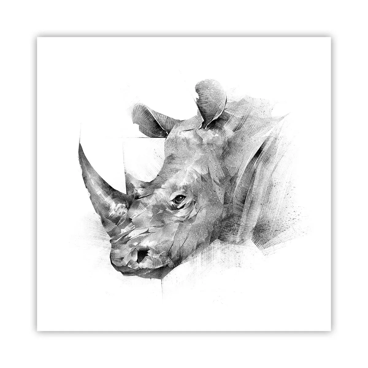 Pôster - Retrato africano - 60x60 cm