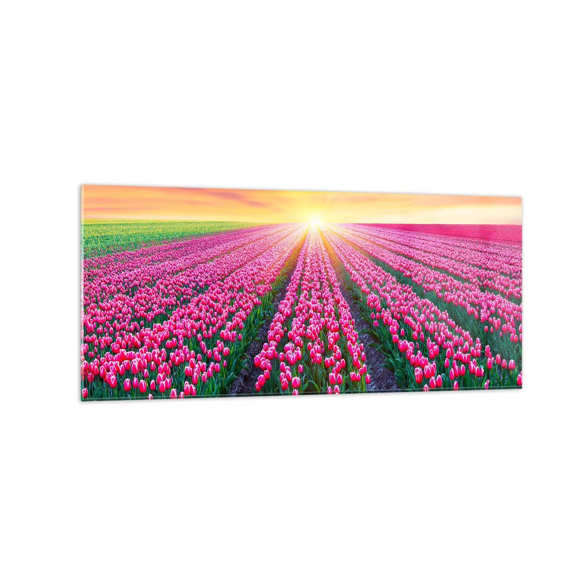 Quadro em vidro - Quinta da Beleza - 120x50 cm