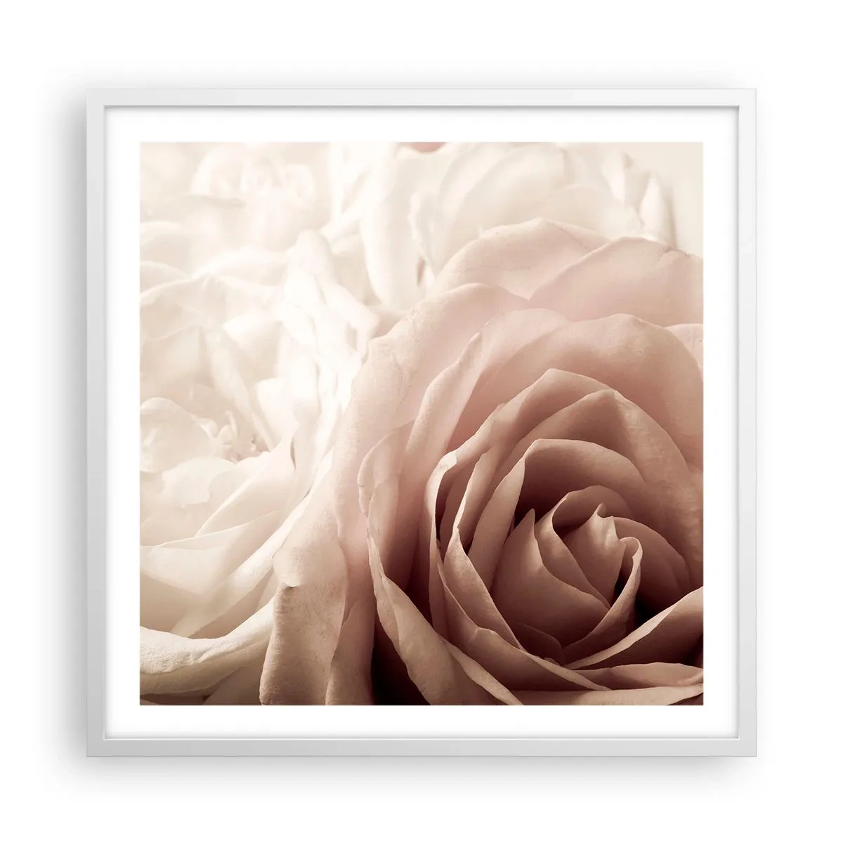 Pôster em moldura branca - No coração de uma rosa - 60x60 cm