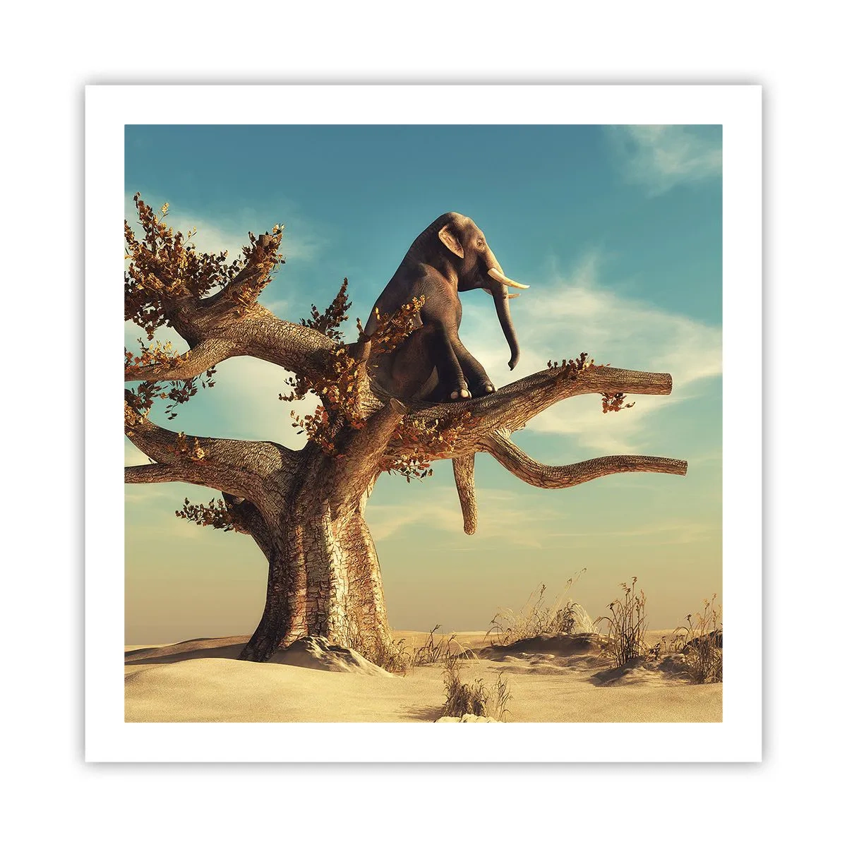 Pôster - Um novo ponto de vista - 60x60 cm