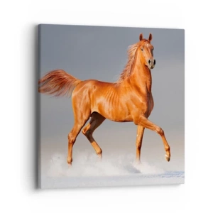 Quadro em tela - Graça Dançante - 40x40 cm