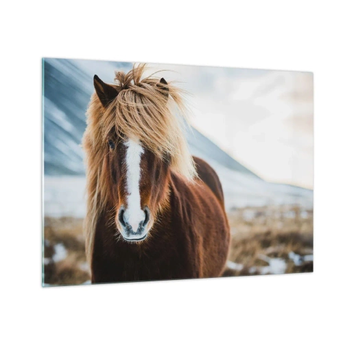 Quadro em vidro - Um cavalo em uma paisagem montanhosa no inverno - 70x50cm - Sentes a liberdade? - Decoração de parede moderna para a sala de estar e quarto ARTTOR