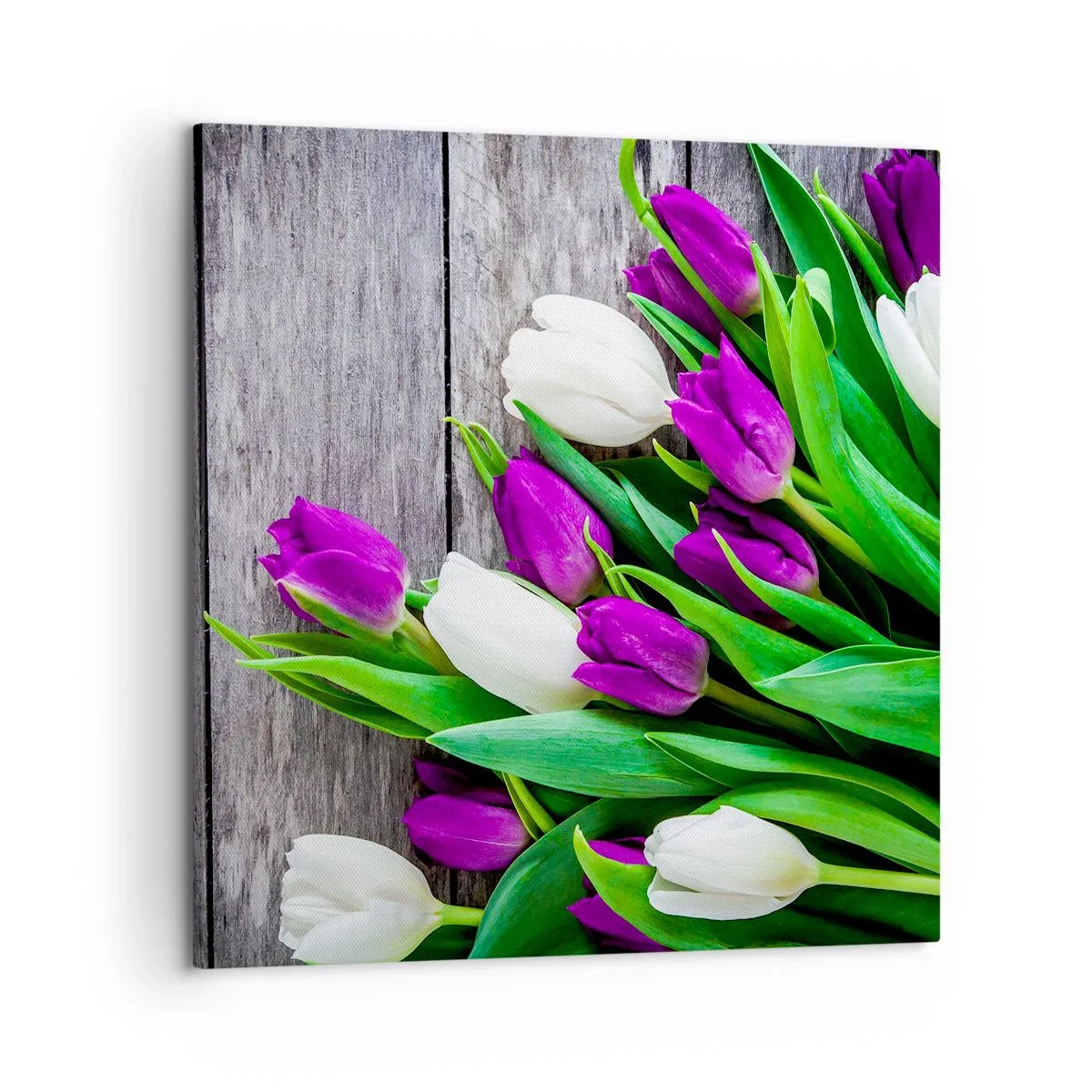 Quadro em tela - No dia do feriado da primavera - 50x50 cm