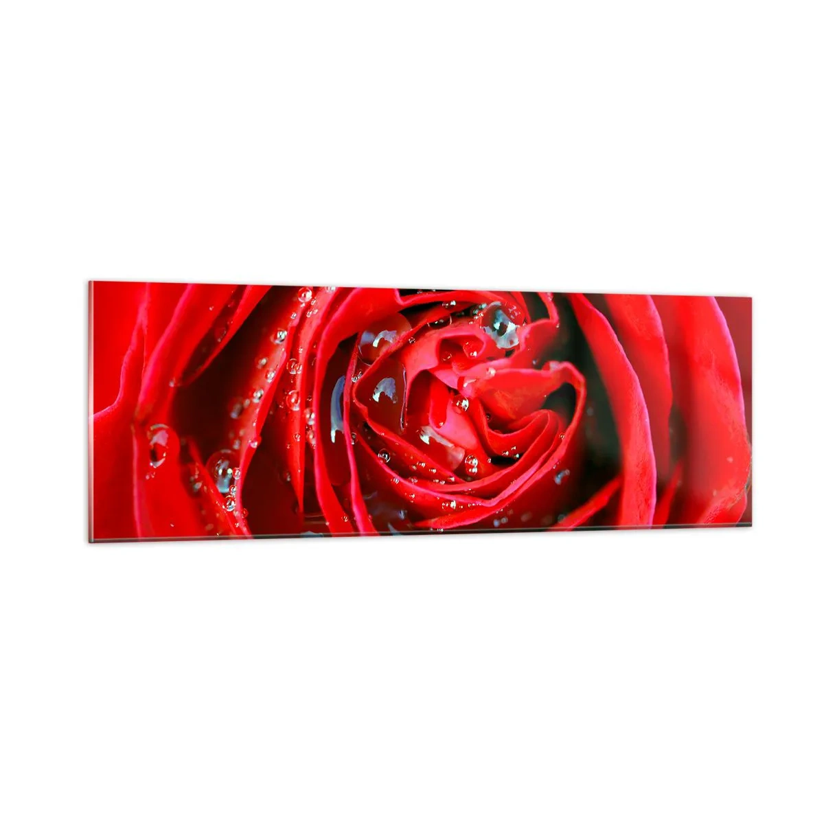 Quadro em vidro - Em gotas de orvalho - 90x30 cm