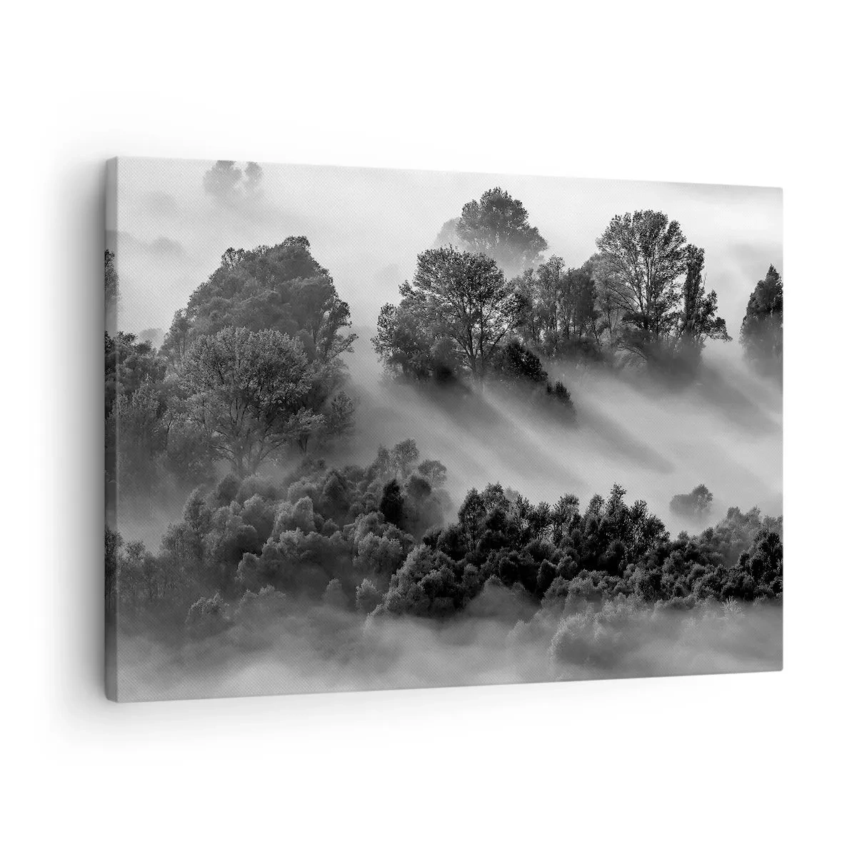 Quadro em tela - Paisagem de floresta em preto e branco na neblina da manhã - 70x50cm - Levantar-se do sono - Decoração de parede moderna para a sala de estar e quarto ARTTOR