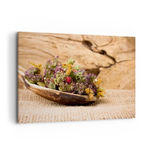 Quadro em tela - Flores coloridas e ervas aromáticas - 100x70 cm
