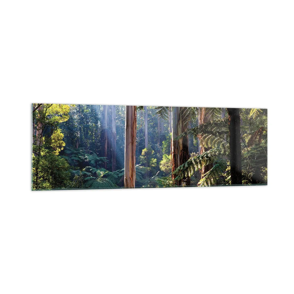 Quadro em vidro - Um conto de fadas da floresta - 160x50 cm