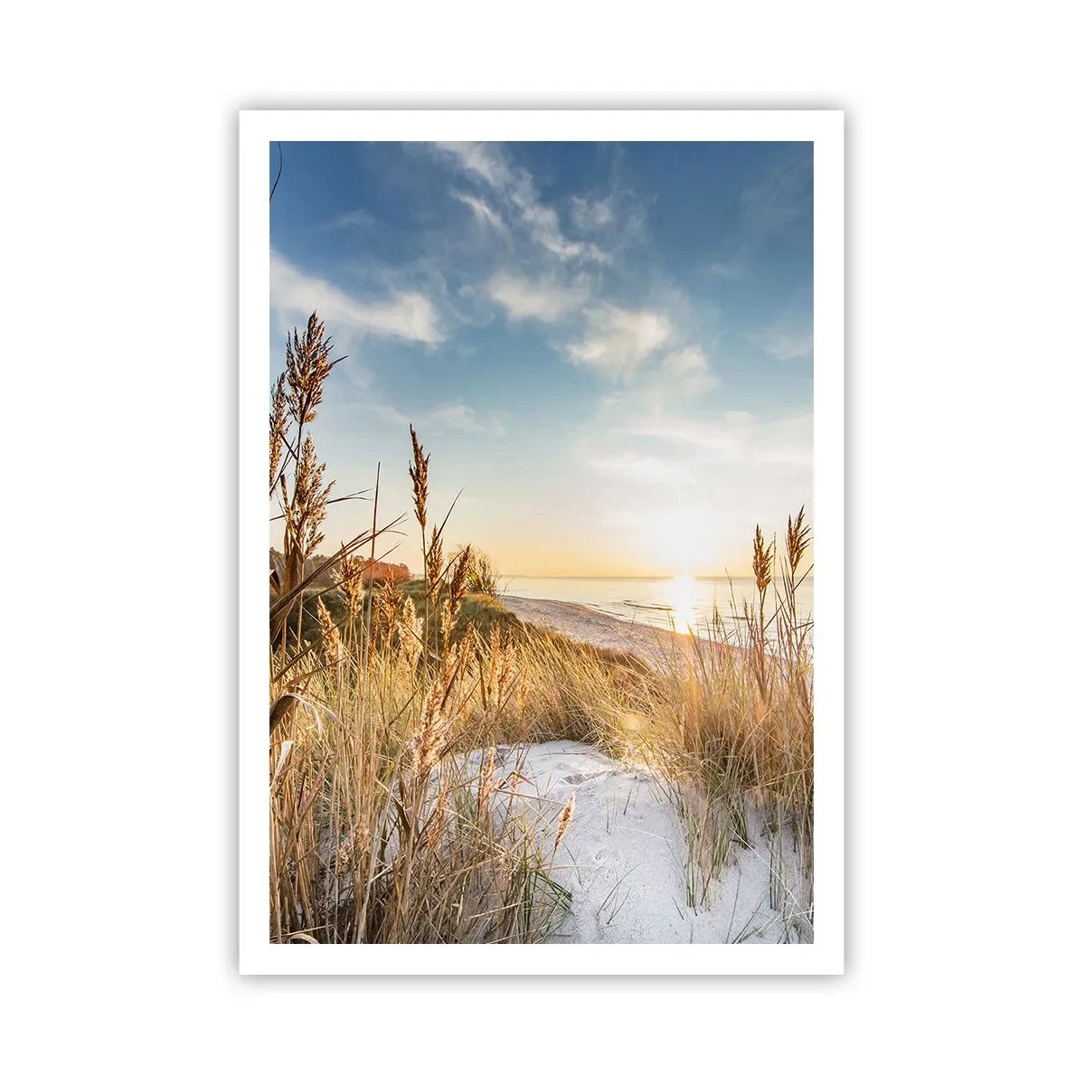Pôster - Praia do Norte - 70x100 cm