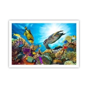 Pôster - Alameda dos corais - 91x61 cm